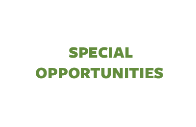 Special Opportunities Infographic